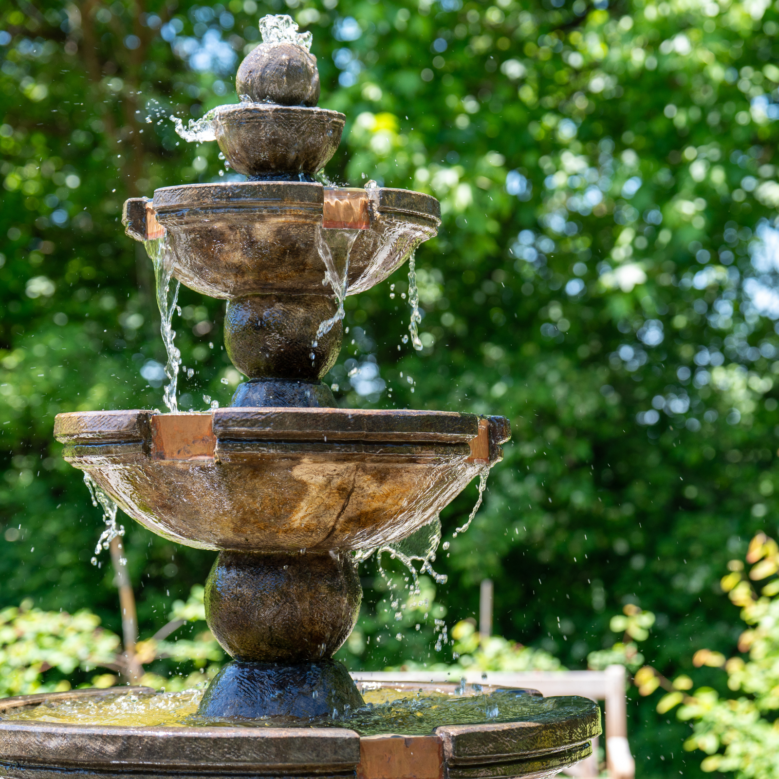 Western Kentucky Botanical Garden, cover image