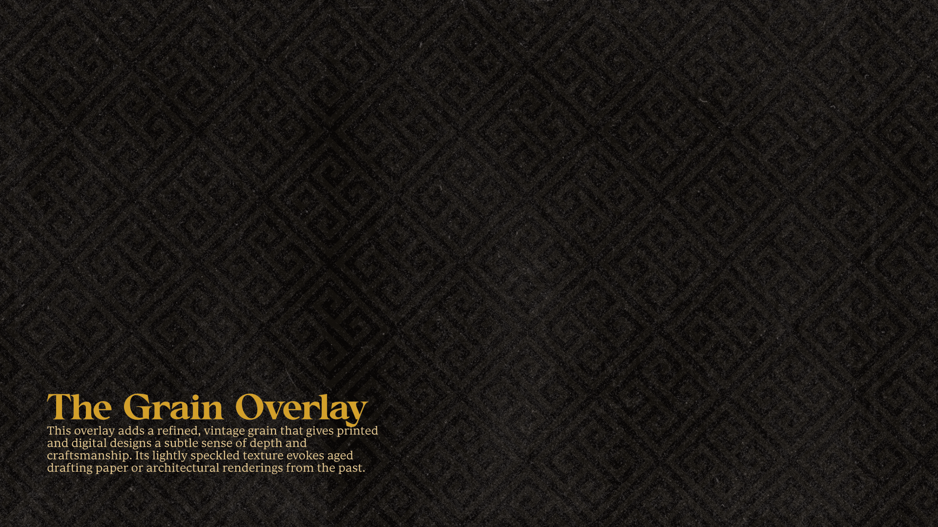 DiGiorgio Design, Branding 13