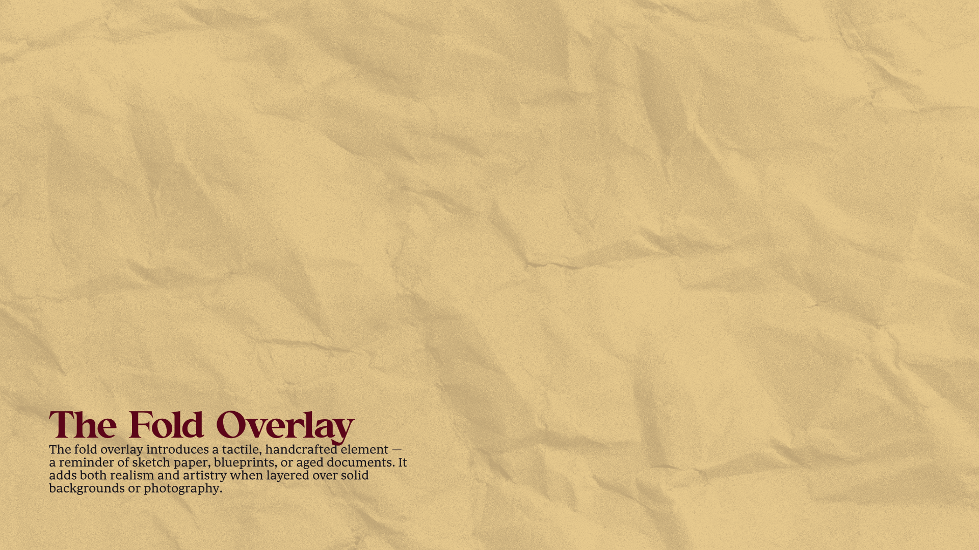 DiGiorgio Design, Branding 14