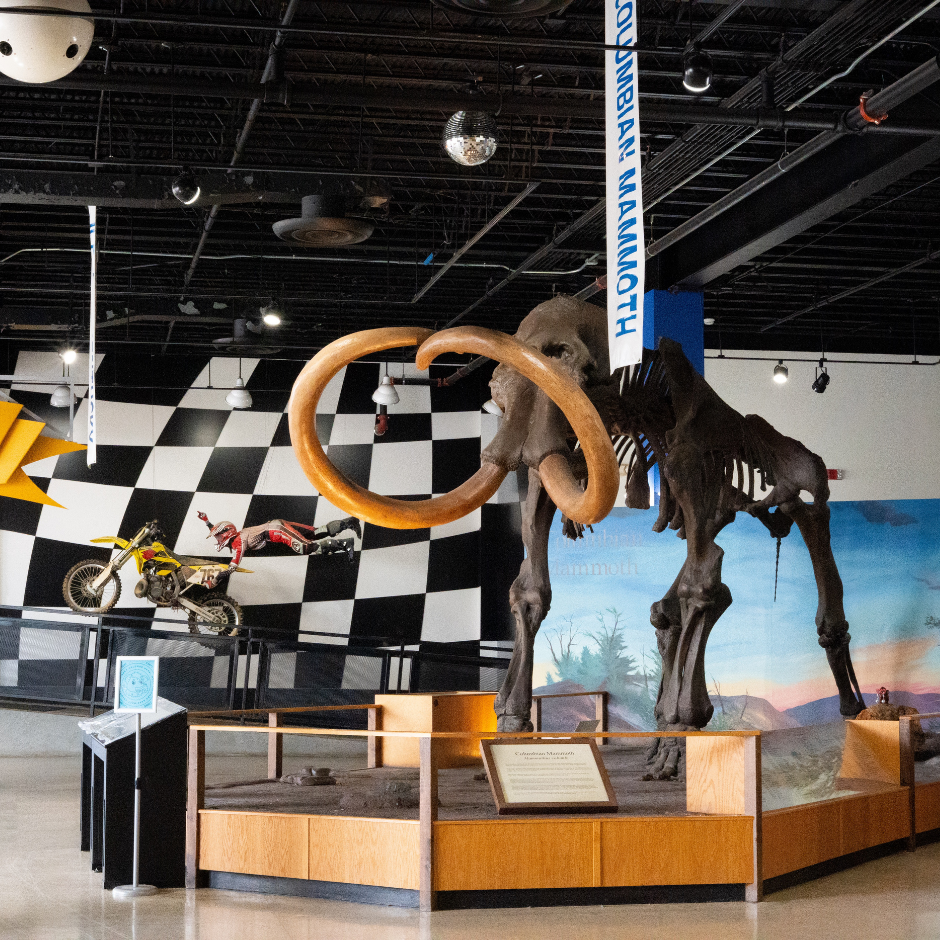 Downtown Owensboro Organization, Social Designs & Photography 15