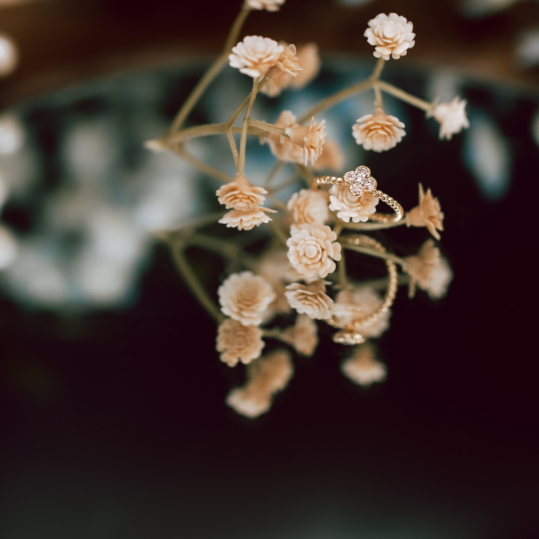 Lance & Co. Jewelers, Photography + Social Designs 1