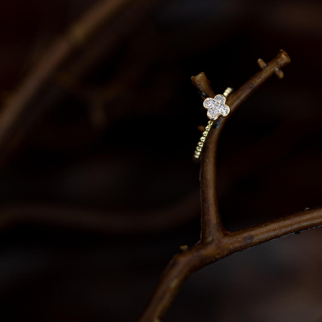 Lance & Co. Jewelers, Photography + Social Designs 3