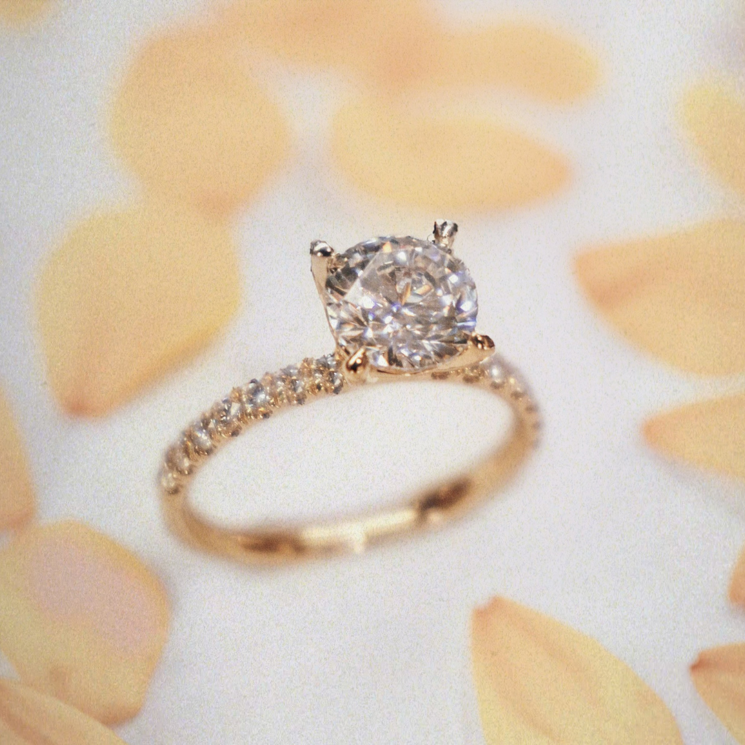 Lance & Co. Jewelers, Photography + Social Designs 8