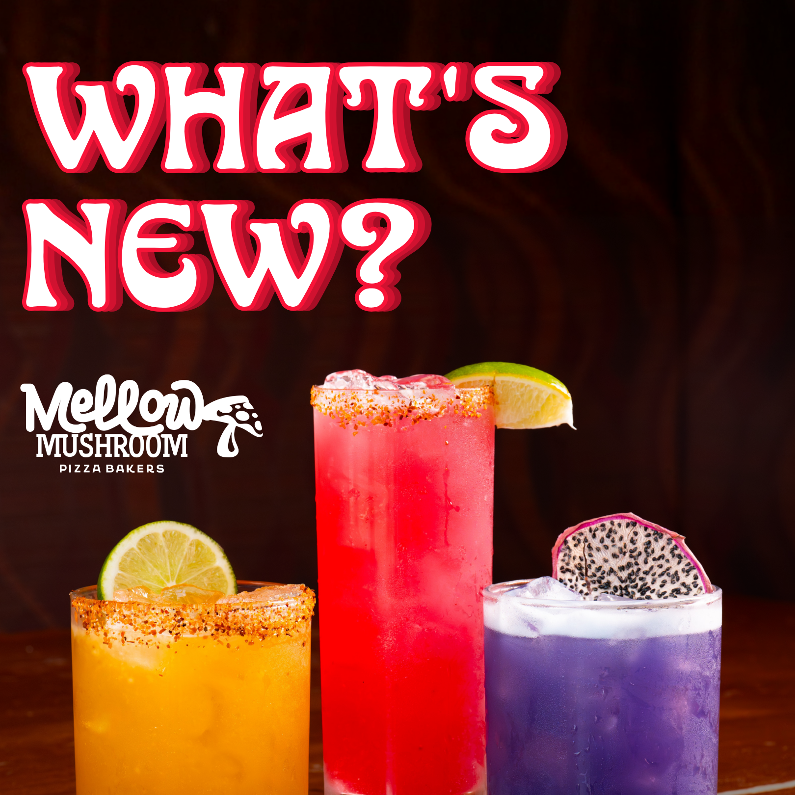Mellow Mushroom, Social Designs 1