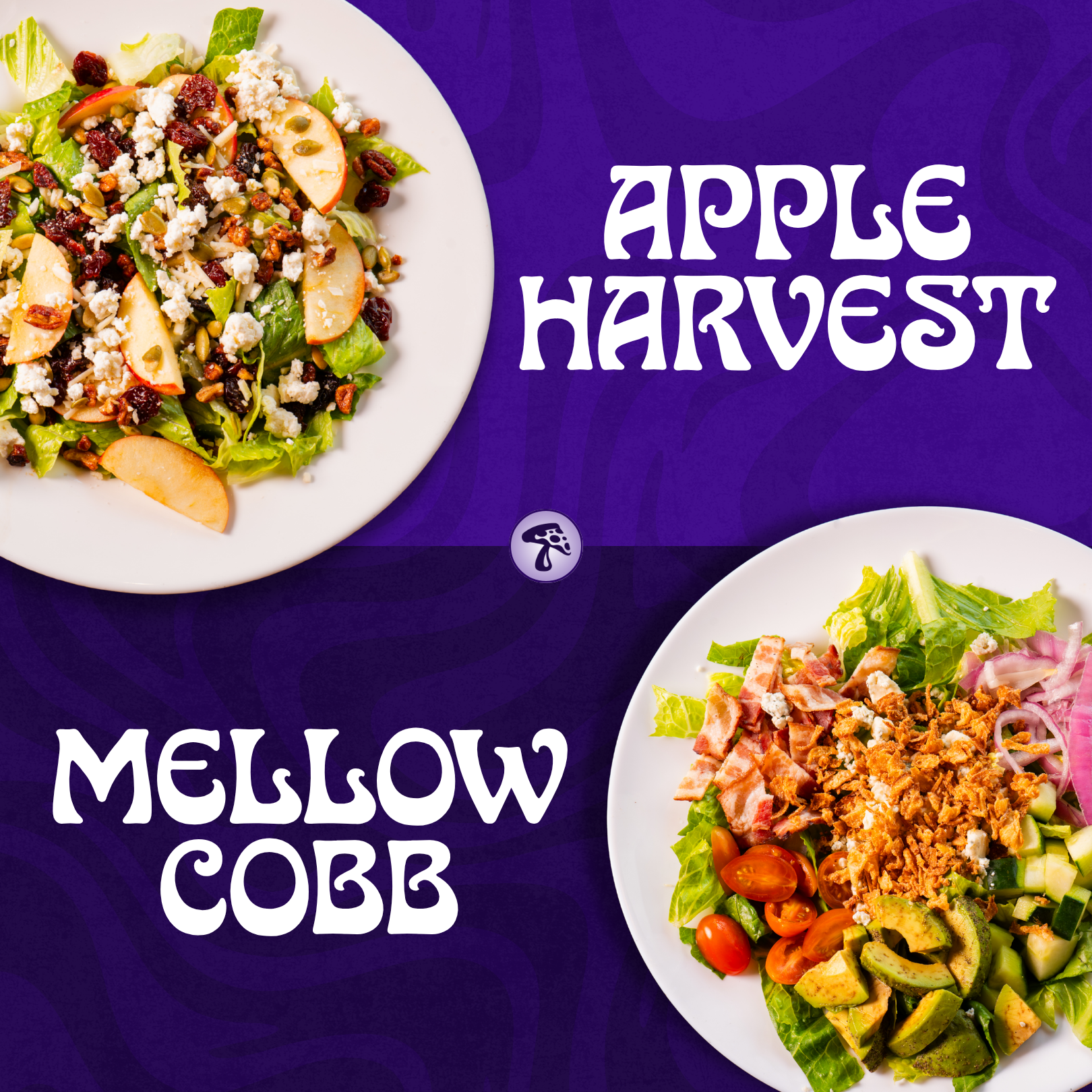 Mellow Mushroom, Social Designs 6