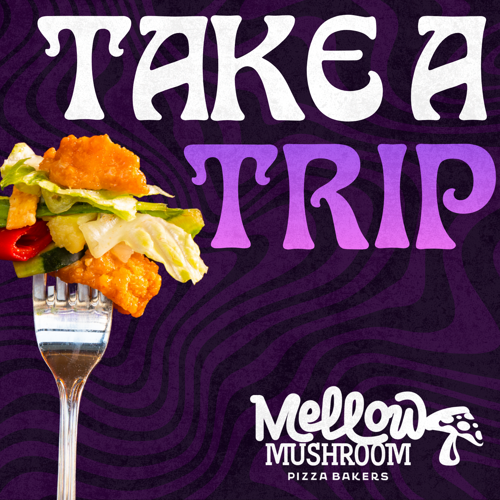 Mellow Mushroom, Social Designs 8