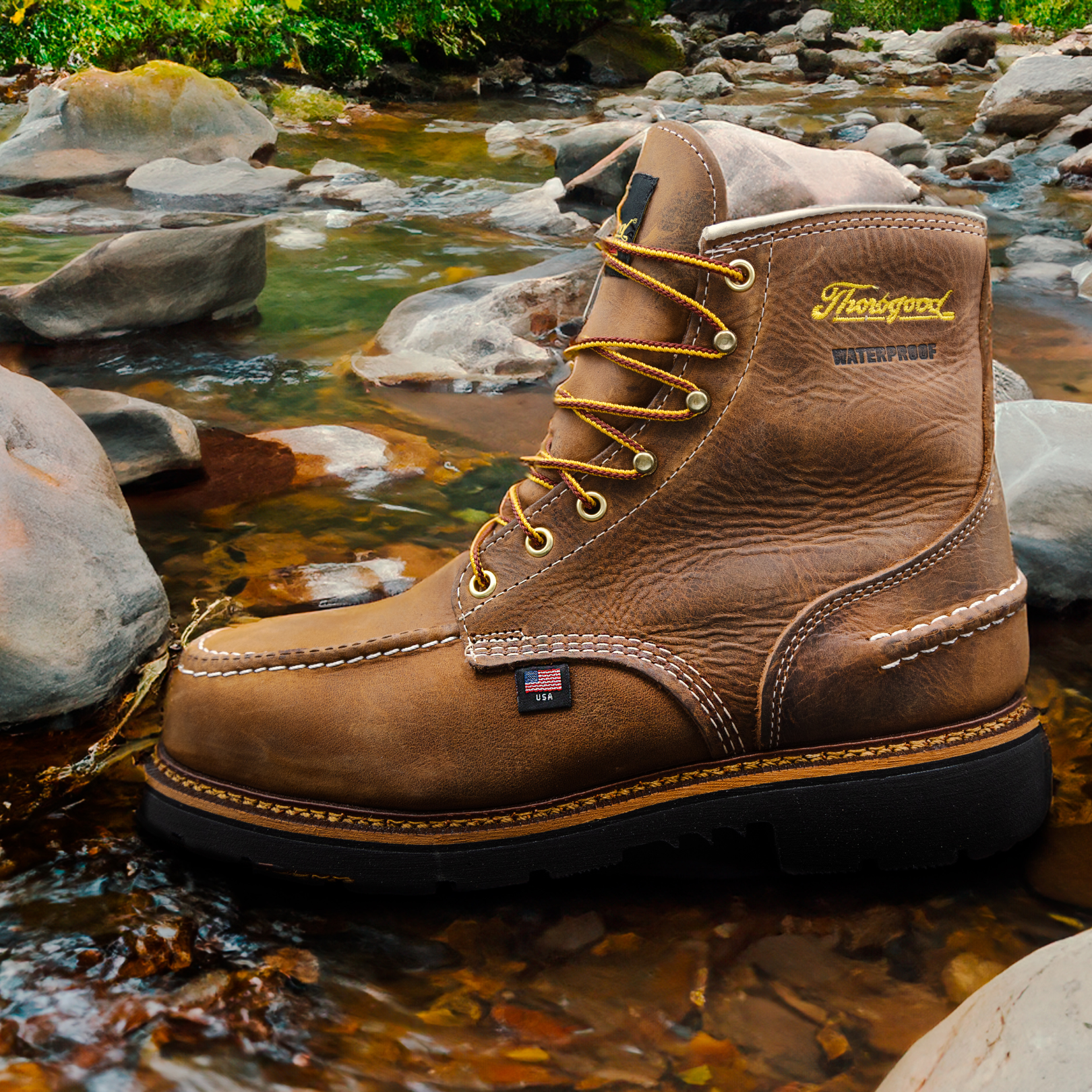 Shoe Stop, Photography + Social Designs 5