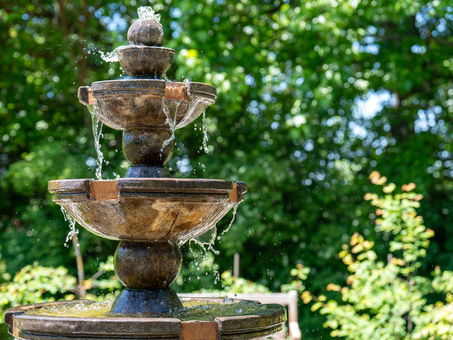 Western Kentucky Botanical Garden cover image