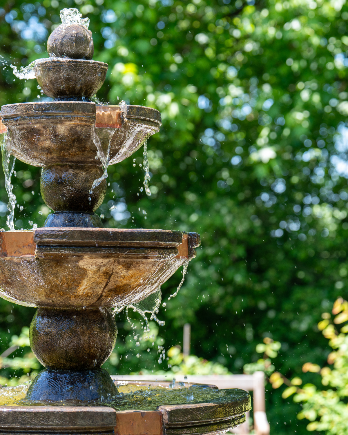 Western Kentucky Botanical Garden, Brand + Website